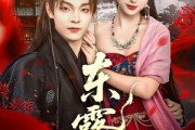 短剧《东露引》80集短剧1080P高清免费赏