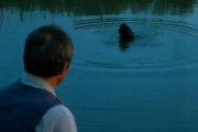 短剧《鱼坑》30集短剧一键解锁全集免费看
