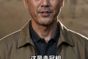 短剧《乡村鸡王：斗鸡风云》37集短剧高清无删减在线观看