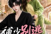 短剧《傅少别逃，我是你的保镖》90集短剧在线观看无广告