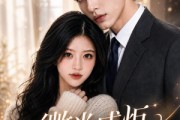 短剧《微光成炬，与你同行》28集短剧完整高清免费在线赏