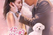短剧《您的狗狗牌女友已上线》60集短剧无广告打扰舒心观看