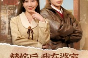 短剧《替嫁后，我在婆家走上人生巅峰》84集短剧全集高清免费不卡顿观看