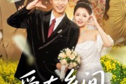 短剧《爱在乡间情正浓》62集短剧1080P高清免费看
