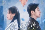 短剧《你追风月，我守柴米》61集短剧高清在线看完整剧情