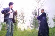 短剧《上古武道传承，现世横扫群雄》73集短剧无删减全集在线看