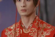 短剧《双嫁》60集短剧全集免费在线观看