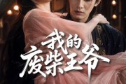 短剧《我的废柴王爷》31集短剧高清无删减在线观看