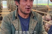 短剧《净身出户后，我靠荒山成猪王》50集短剧超清画质在线追剧