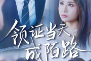短剧《领证当天成陌路》39集短剧高清完整版免费观看