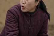 短剧《我自费建桥被举报后，全村人都悔哭了》53集短剧高清全集一键观看