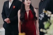 短剧《休夫宴上，天眼少女掀翻全场》53集短剧在线观看无广告