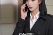 短剧《催债风云：假死骗局》34集短剧超清画质在线观看