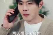 短剧《错付十年温情后，我重燃人生》80集短剧无删减版免费观看