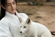 短剧《万事孤陵，唯我长生》60集短剧在线畅享全集观看