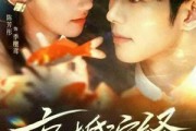 短剧《京婚演绎》60集短剧在线解锁全集精彩呈现