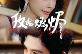 短剧《玫瑰燃烬》39集短剧1080P高清在线观看