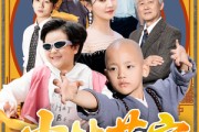 短剧《少林萌宝闯江湖》50集短剧1080P超清在线播放