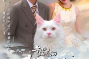 短剧《午夜缅因猫我的饲主竟是命中注定》66集短剧高清全集免费在线追