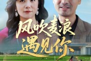 短剧《风吹麦浪遇见你》60集短剧1080P高清版全集在线