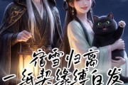 短剧《宿雪归离：一纸契缘缚白发》88集短剧无卡顿在线免费观影