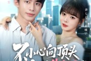 短剧《不小心向顶头上司告白了》80集短剧全集免费在线速看