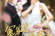 短剧《冤家是我娃他爹》80集短剧全集剧情提前看不停