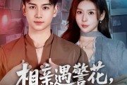 短剧《相亲遇警花，破案爽到飞起》80集短剧1080P在线免费赏