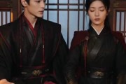 短剧《暗恋十年不敢说，小舅子一招全搞定》85集短剧高清在线观看全集