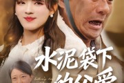 短剧《水泥袋下的父爱》60集短剧1080P超清免费看