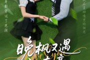 短剧《晚枫又遇江南意》60集短剧全集高清版免费在线观看