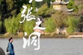 短剧《又见张之洞》30集短剧免费高清全集速看