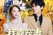 短剧《我靠宠妻实现财富自由》80集短剧高清完整免费观影
