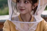 短剧《海岛未婚妻，沈少越嫌越上头》31集短剧在线解锁全集观看