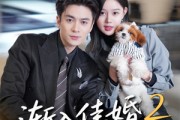 短剧《渐入佳婚2》103集短剧高清无广告免费看