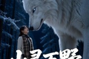 短剧《山野万灵的医生》41集短剧全集免费在线观看