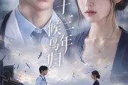 短剧《十三年，候鸟归》40集短剧全集免费在线播放