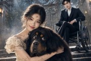 短剧《顾总他宠妻无度》36集短剧免费在线观看完整版