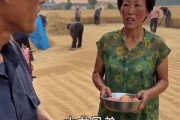短剧《麦熟见人心》41集短剧免费观看全集不卡顿