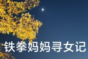 短剧《铁拳妈妈寻女记（69集）》母爱如铁，誓寻失踪爱女