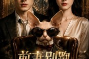 短剧《前妻别跑，我的猫不同意》33集短剧全集免费在线追