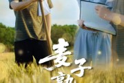 短剧《麦子熟了》52集短剧全集高清流畅手机看