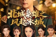 短剧《北城枭雄之风起冰城》97集短剧蓝光画质全集观看