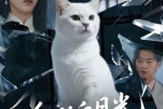 短剧《他的白月光是只猫》69集短剧高清流畅在线观看全集