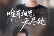 短剧《唯有相思无尽处》66集短剧全集资源一键解锁观看