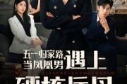 短剧《五一归家路，当凤凰男遇上硬核岳母》60集短剧高清流畅在线看