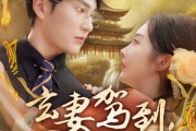 短剧《玄妻驾到，老公快接住》70集短剧1080P超清版在线观看