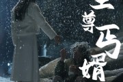 短剧《至尊丐婿（91集）》丐婿崛起，改写命运