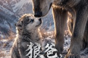 短剧《狼爸别吃我》30集短剧1080P在线免费观全集