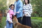 短剧《养狗应有道》60集短剧蓝光画质不卡顿观看